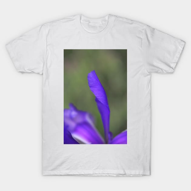 Iris Purple Long Petal T-Shirt by Joy Watson